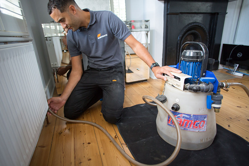 powerflushing-Happy-Dog